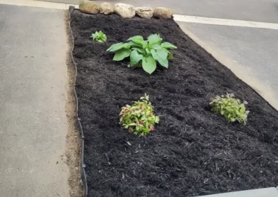 Reputable Landscape Maintenance