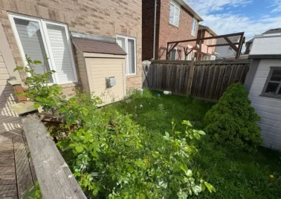 Reputable Landscape Services