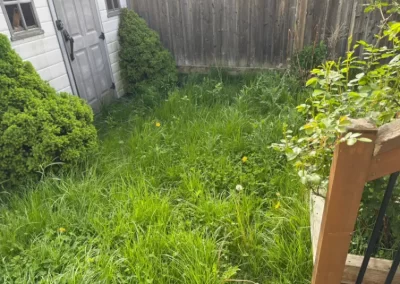 Reputable Landscaping Company