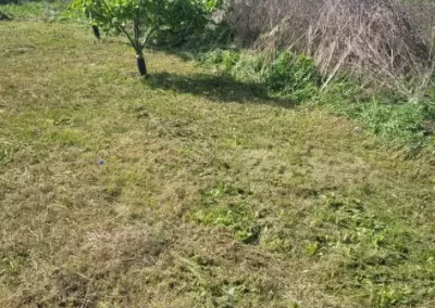 Trusted Landscape Contractor