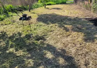 Trusted Landscape Designer