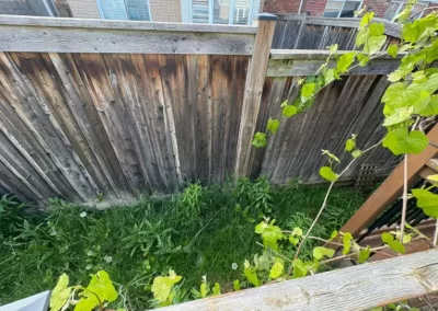 Trusted Landscaping Company