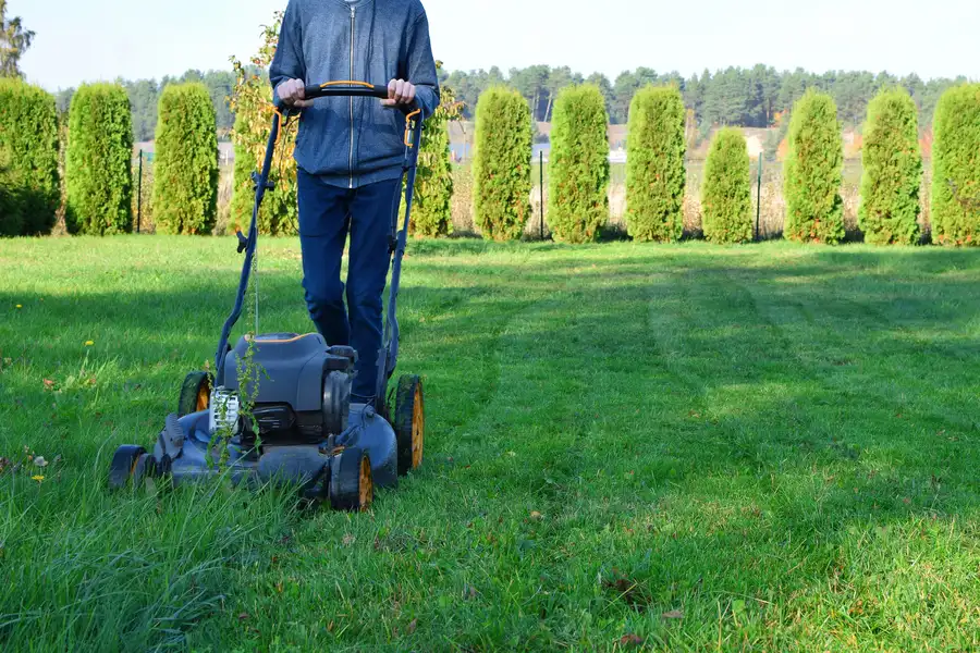 Factors To Consider When Hiring Mowing Services Brampton, ON Factors To Consider When Hiring Mowing Services Brampton, ON