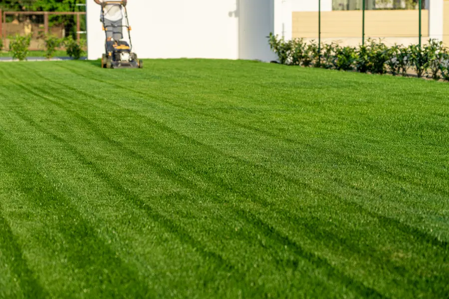 Factors To Consider When Hiring Mowing Services in Brampton, ON Factors To Consider When Hiring Mowing Services in Brampton, ON