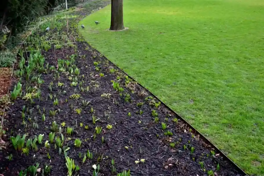 Superior Landscape Edging Brampton, ON Superior Landscape Edging Brampton, ON