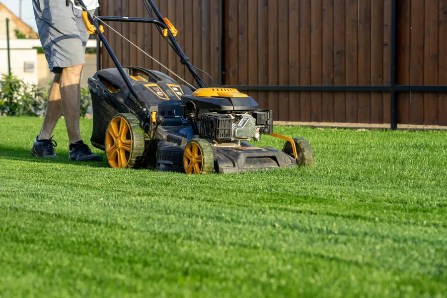 The Impact Of Mowing Services On Long-term Lawn Health Brampton, ON The Impact Of Mowing Services On Long-term Lawn Health Brampton, ON