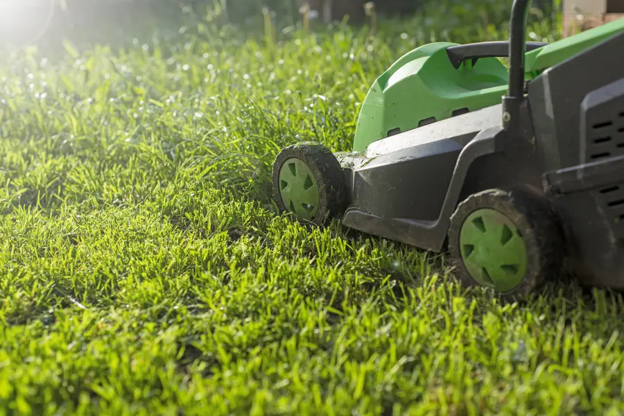 The Impact Of Mowing Services On Long-term Lawn Health in Brampton, ON The Impact Of Mowing Services On Long-term Lawn Health in Brampton, ON