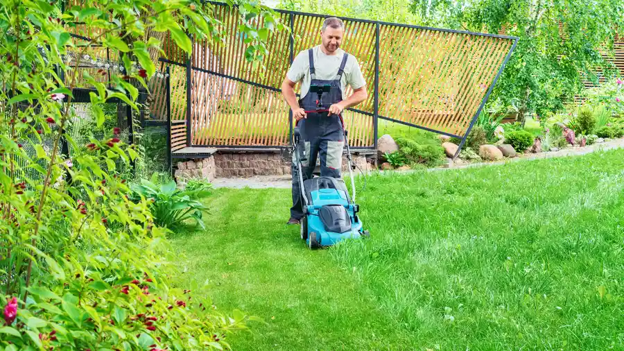 Top-rated Mowing Services Brampton, ON Top-rated Mowing Services Brampton, ON